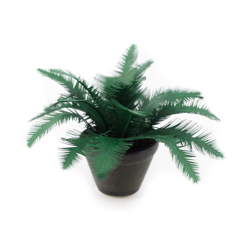 Potted Palm, Large Black Planter