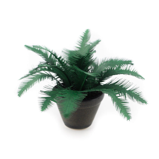 Potted Palm, Large Black Planter