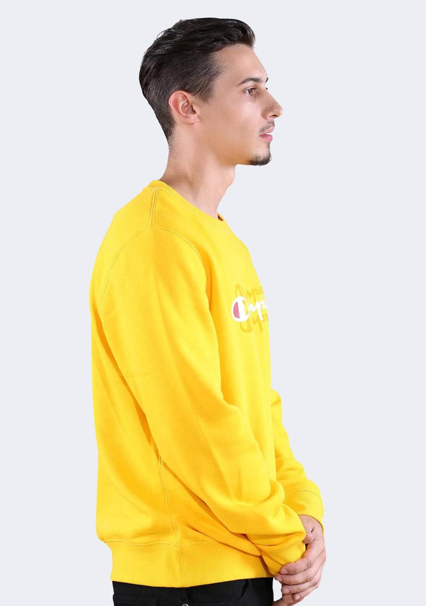 Champion Men’s Sporty Graphic Crew
